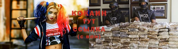 ALPHA PVP Беломорск
