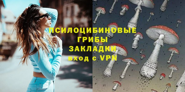 стафф Белокуриха