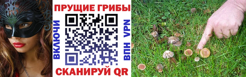 Галлюциногенные грибы MAGIC MUSHROOMS  дарк нет наркотические препараты  Покровск 